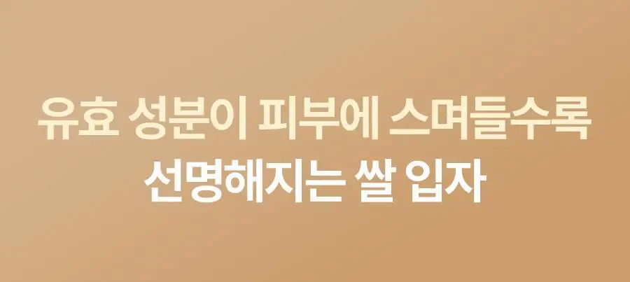 [쌀겨수/광채탄력] 풀리 쌀 세라 하이드로겔 마스크 4매 상세페이지 14